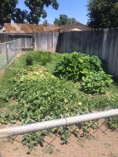 1925 Rebecca Ln, Sutter, CA 95982 photo 28