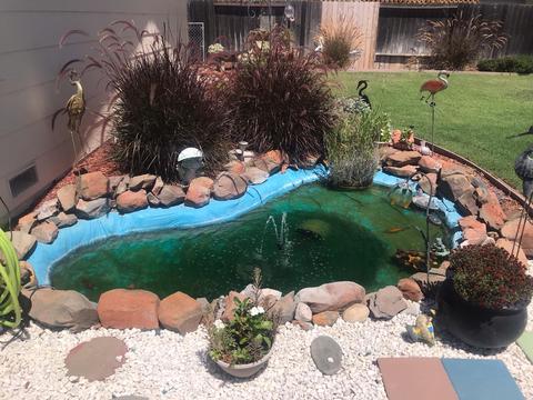 1925 Rebecca Ln, Sutter, CA 95982 photo 25