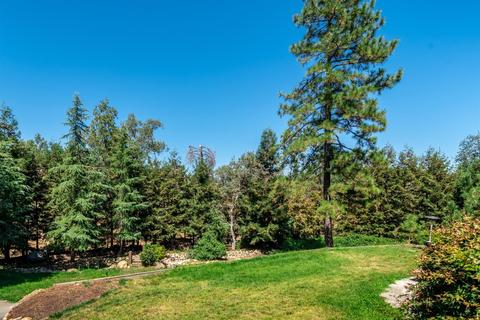 4220 Savage, Placerville, CA 95667 photo 24