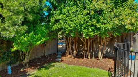 3630 Washoe St, Davis, CA 95618 photo 56