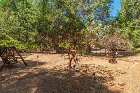 24600 Shake Ridge Rd, Volcano, CA 95689 photo 66