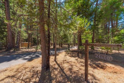 24600 Shake Ridge Rd, Volcano, CA 95689 photo 70