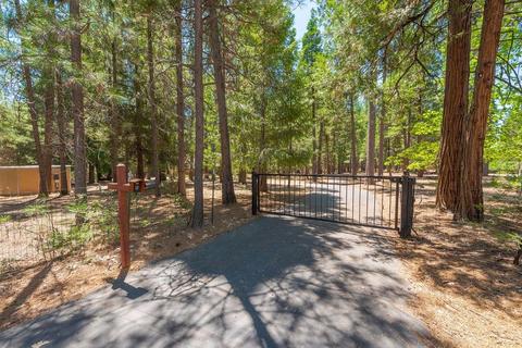 24600 Shake Ridge Rd, Volcano, CA 95689 photo 7