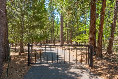 24600 Shake Ridge Rd, Volcano, CA 95689 photo 69