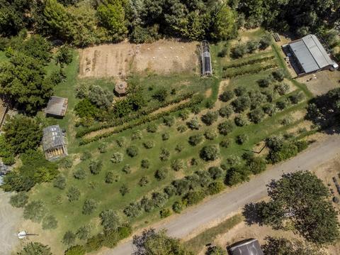3423 Madrone St, Rumsey, CA 95679 photo 3