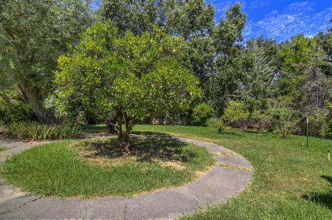 3423 Madrone St, Rumsey, CA 95679 photo 24