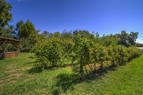 3423 Madrone St, Rumsey, CA 95679 photo 25