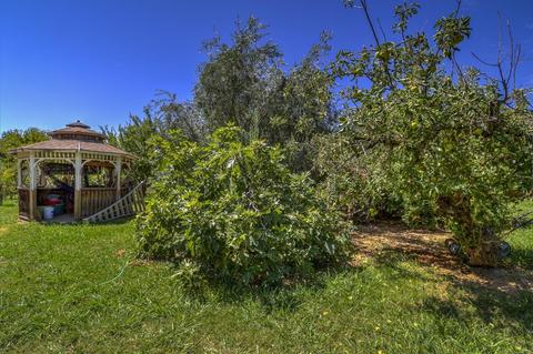 3423 Madrone St, Rumsey, CA 95679 photo 14