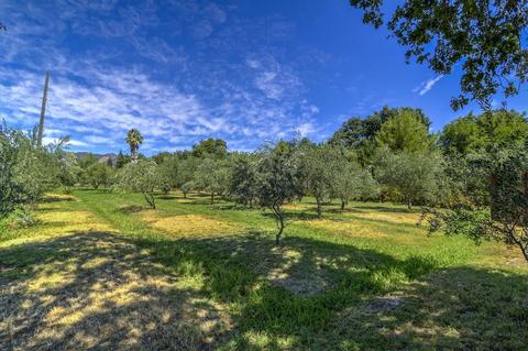 3423 Madrone St, Rumsey, CA 95679 photo 26
