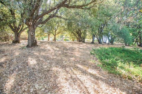18110 Ridge Rd, Pine Grove, CA 95665 photo 55
