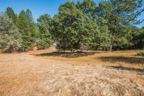18110 Ridge Rd, Pine Grove, CA 95665 photo 62