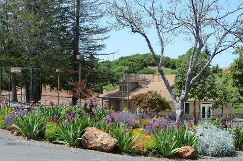 2037 American River Trl, Cool, CA 95614 photo 39