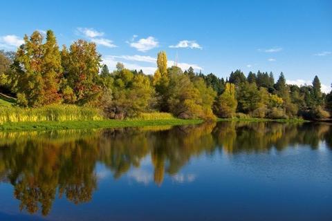 2037 American River Trl, Cool, CA 95614 photo 37