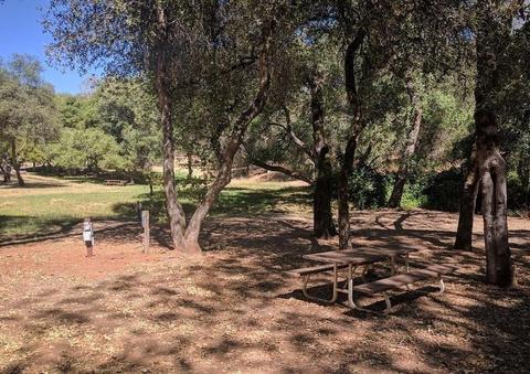 2037 American River Trl, Cool, CA 95614 photo 47
