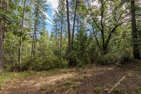 4452 Washboard Ln, Placerville, CA 95667 photo 29