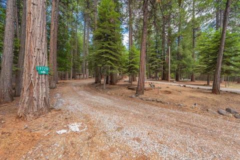 19720 Squirrel Ct, Volcano, CA 95689 photo 2