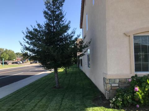 1786 Snowcap Dr, Manteca, CA 95336 photo 3