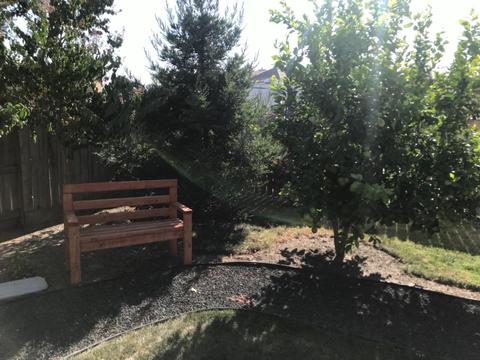 1786 Snowcap Dr, Manteca, CA 95336 photo 27