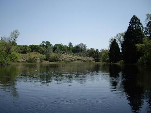2409 Apache Pass Rd, Somerset, CA 95684 photo 1