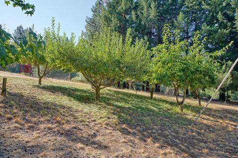 1854 Cable Rd, Camino, CA 95709 photo 43