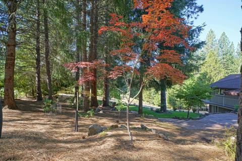 1854 Cable Rd, Camino, CA 95709 photo 2