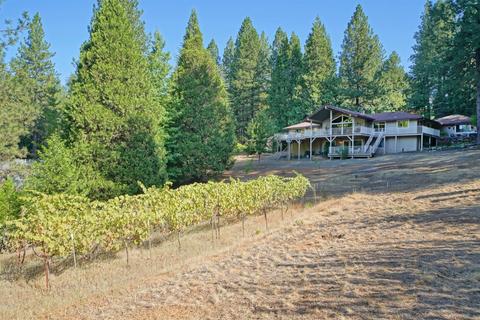 1854 Cable Rd, Camino, CA 95709 photo 47