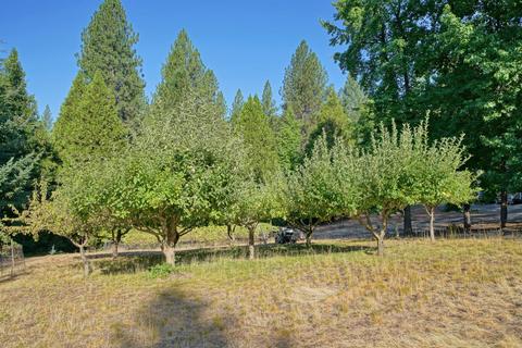 1854 Cable Rd, Camino, CA 95709 photo 44