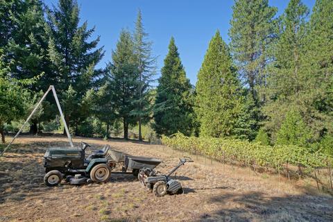 1854 Cable Rd, Camino, CA 95709 photo 51