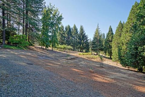 1854 Cable Rd, Camino, CA 95709 photo 45
