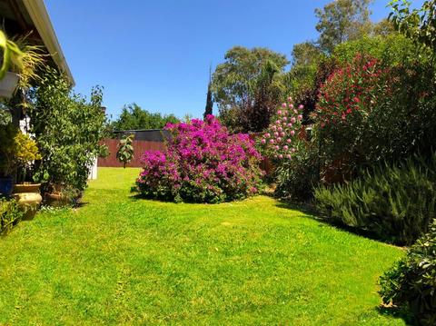 29020 Hurlbut St, Madison, CA 95653 photo 13