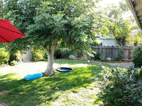 1541 Cherrywood Dr, Modesto, CA 95350 photo 12