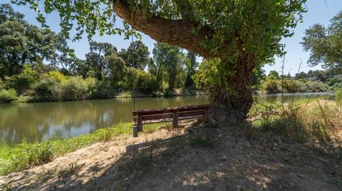 2515 River Rd, Modesto, CA 95351 photo 10