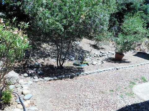 315 Danielle Way, Folsom, CA 95630 photo 24
