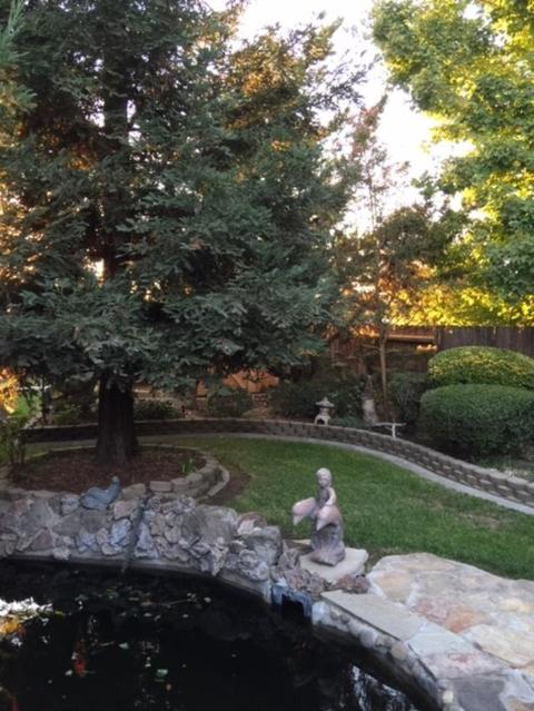 938 Fallbrook Ct, Escalon, CA 95320 photo 30