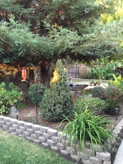938 Fallbrook Ct, Escalon, CA 95320 photo 32