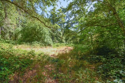 1945 Twitchell, Placerville, CA 95667 photo 23
