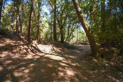 1945 Twitchell, Placerville, CA 95667 photo 26