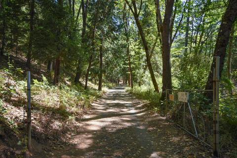 1945 Twitchell, Placerville, CA 95667 photo 31