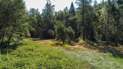 1945 Twitchell, Placerville, CA 95667 photo 5
