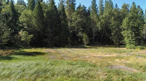 1945 Twitchell, Placerville, CA 95667 photo 2