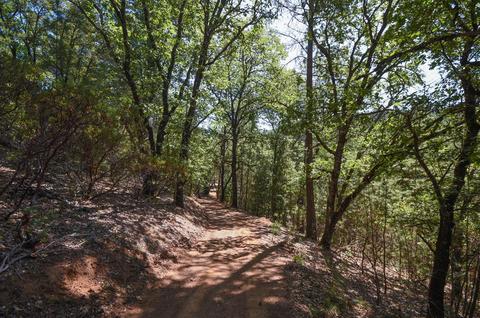 1945 Twitchell, Placerville, CA 95667 photo 29