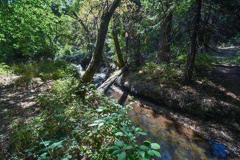 1945 Twitchell, Placerville, CA 95667 photo 25