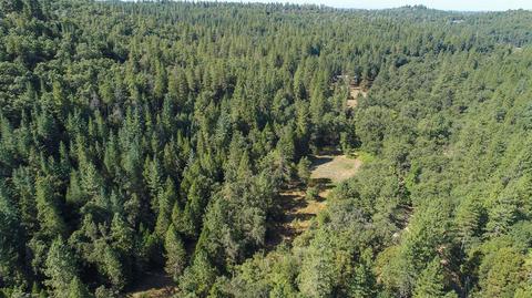1945 Twitchell, Placerville, CA 95667 photo 11