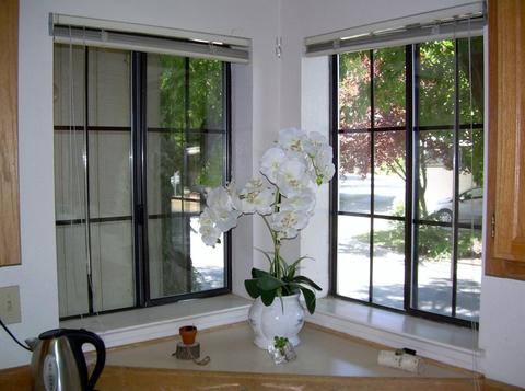 175 Inner Cir, Davis, CA 95618 photo 15
