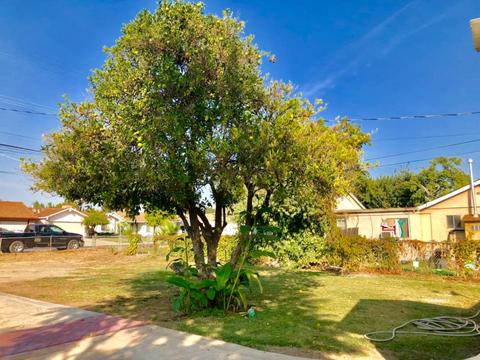 2004 Robertson Rd, Modesto, CA 95351 photo 25