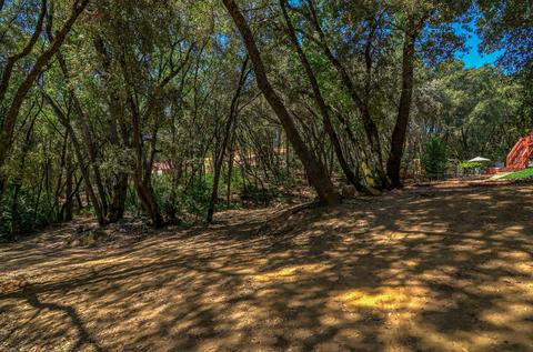 18388 Sugar Pine Dr, Pine Grove, CA 95665 photo 54