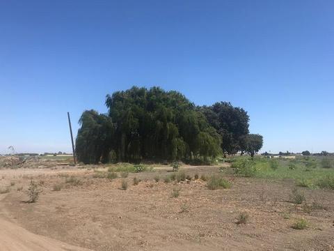 16699 Jackson Slough Rd, Isleton, CA 95641 photo 9