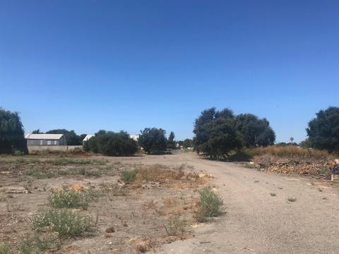 16699 Jackson Slough Rd, Isleton, CA 95641 photo 6