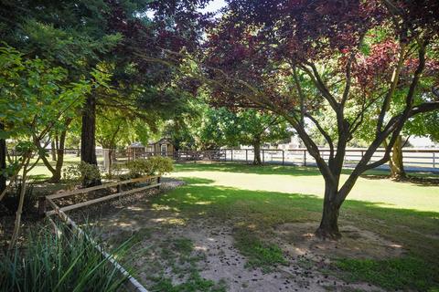 11260 Colony Rd, Wilton, CA 95693 photo 68