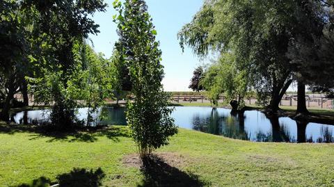 11260 Colony Rd, Wilton, CA 95693 photo 2